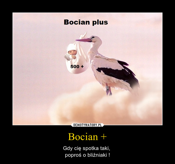 Bocian+
